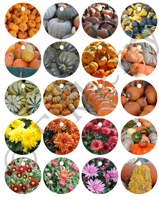 Fall Harvest Circle Gift Tag Template (PDF) - FREEBIE!